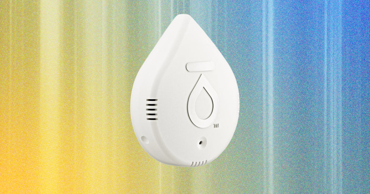 8 Greatest Water Leak Detectors (2025), Examined and Reviewed 8 Greatest Water Leak Detectors (2025), Examined and Reviewed
