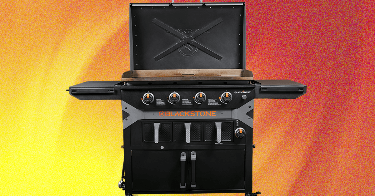 Blackstone Griddle Air Fryer Combo Evaluate: Foolish, however Good