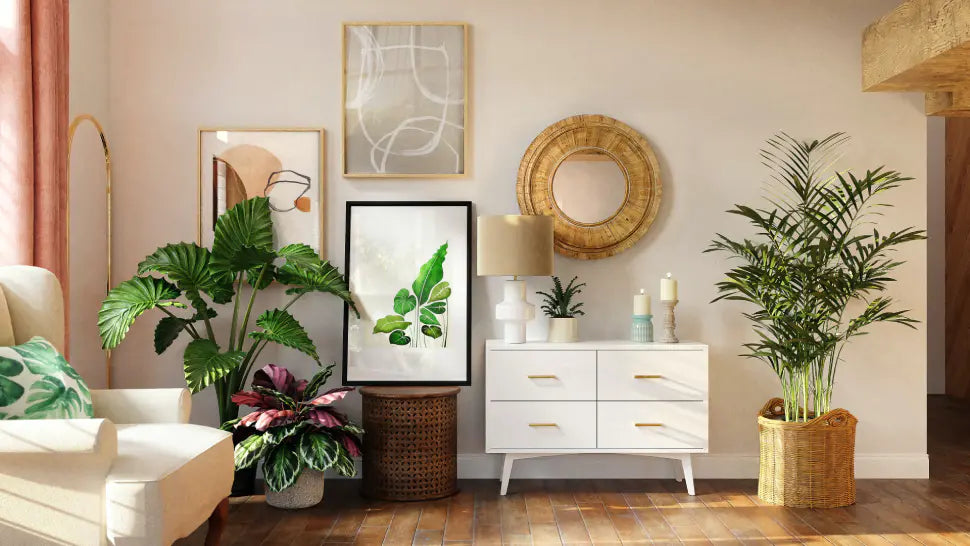 Introducing the Reibii Assortment of Dwelling Organizers Introducing the Reibii Assortment of Dwelling Organizers