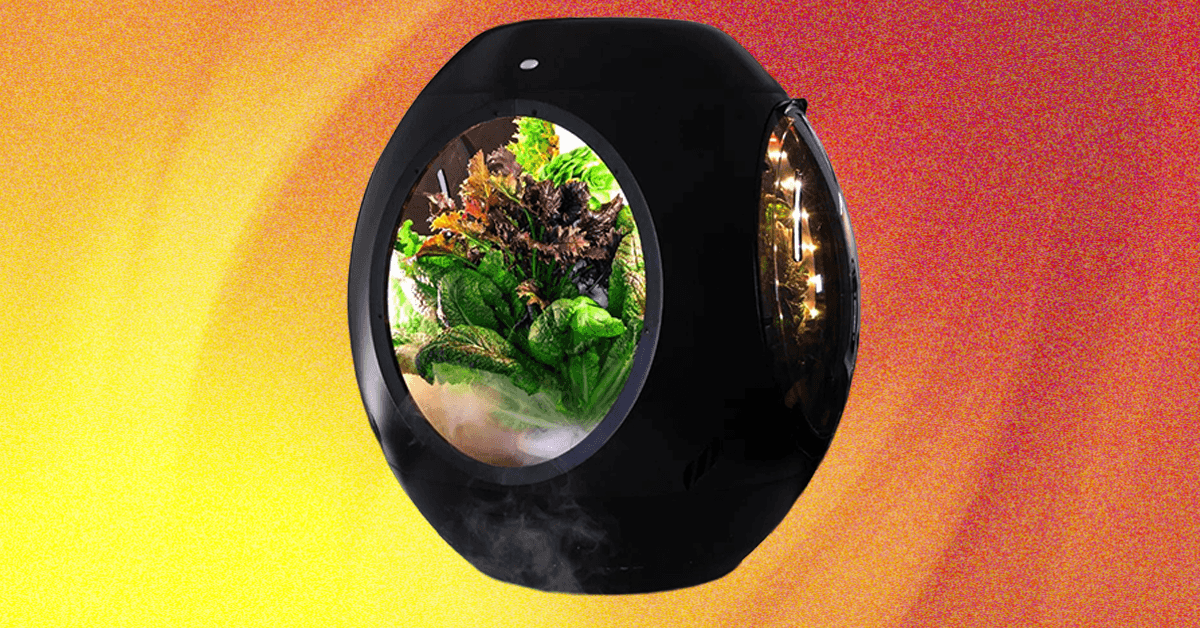 Plantaform Sensible Indoor Backyard Evaluate: Rewarding however Dangerous Plantaform Sensible Indoor Backyard Evaluate: Rewarding however Dangerous