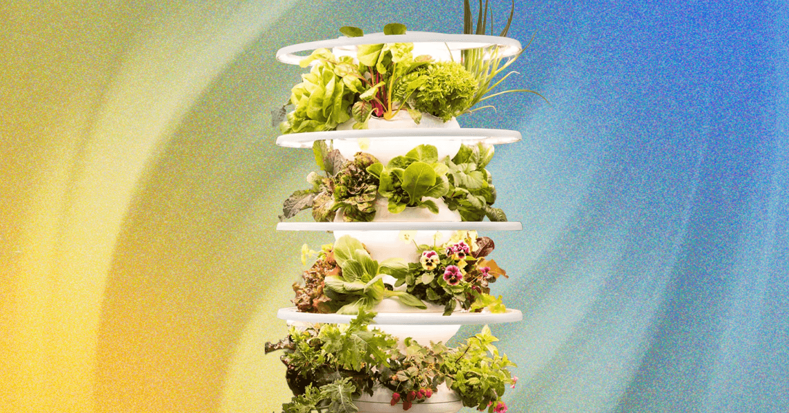 Lettuce Develop Indoor Farmstand Evaluation: Develop Your Personal Lettuce Develop Indoor Farmstand Evaluation: Develop Your Personal