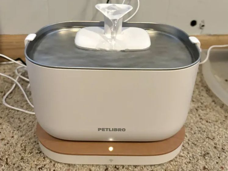 Image may contain: Cooking Pot, Cookware, Food, Pot, and Cooking Pan