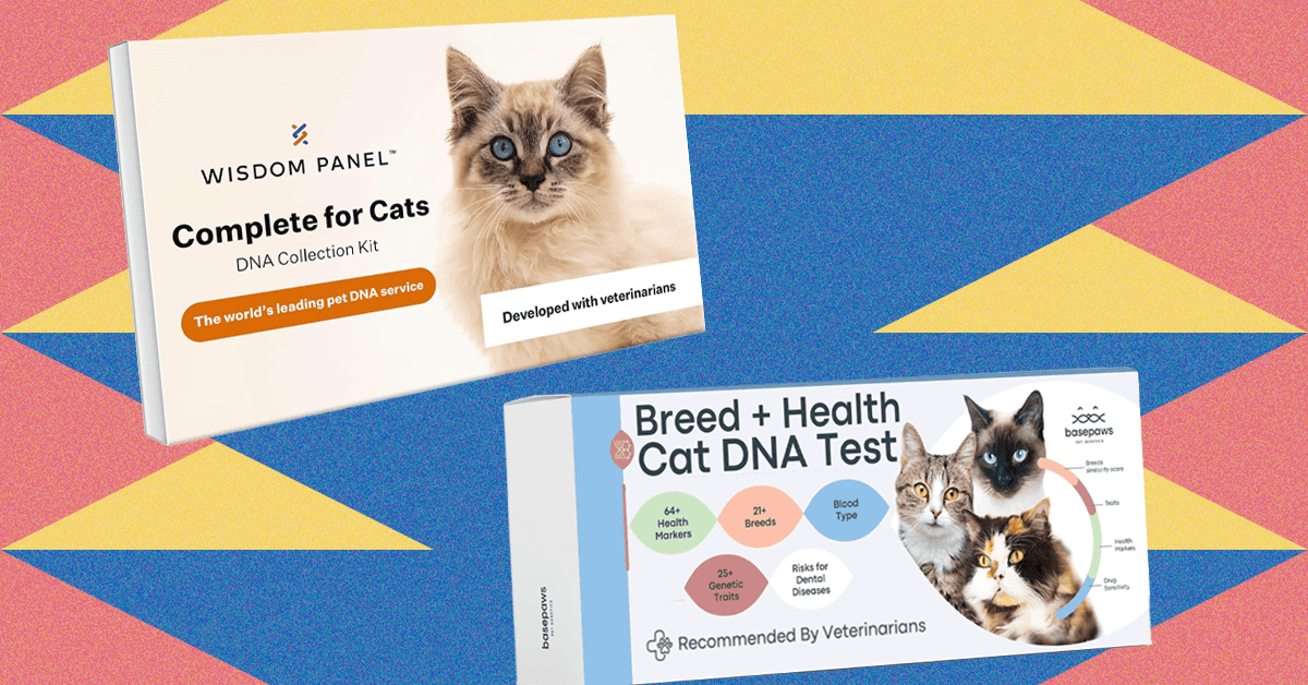 I Tried the Finest At-Residence Pet DNA Check Kits on My Two Cats (2025) I Tried the Finest At-Residence Pet DNA Check Kits on My Two Cats (2025)